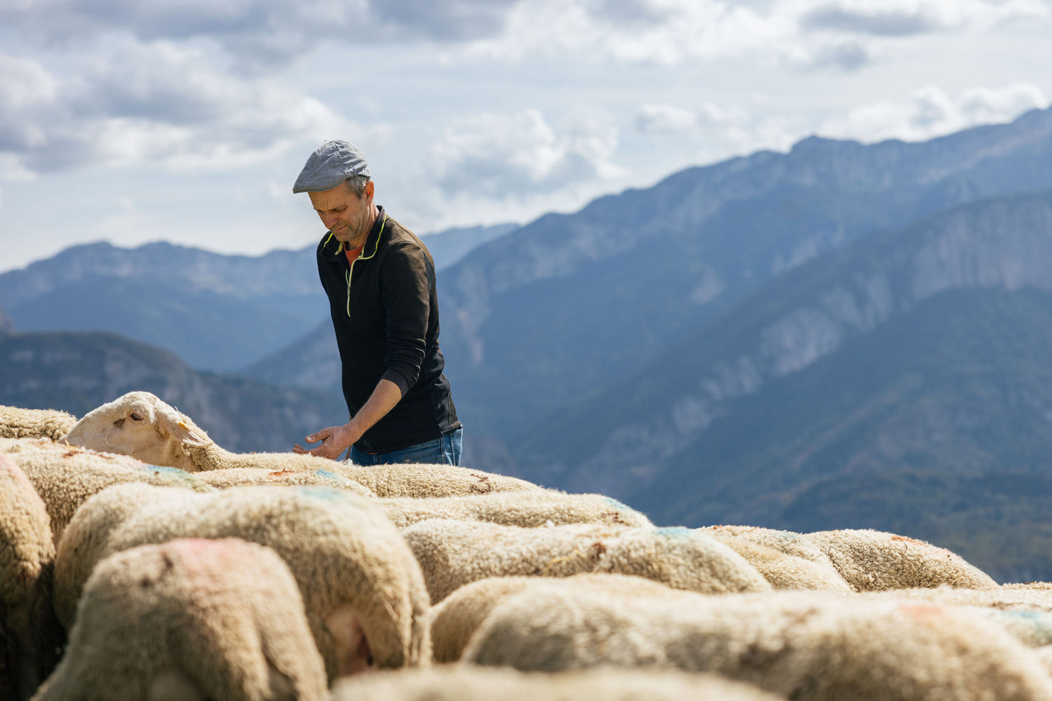 Producteurs de Saveurs à Le Pont de Beauvoisin magasin de producteur en Savoie et vente de produits locaux et magasin bio