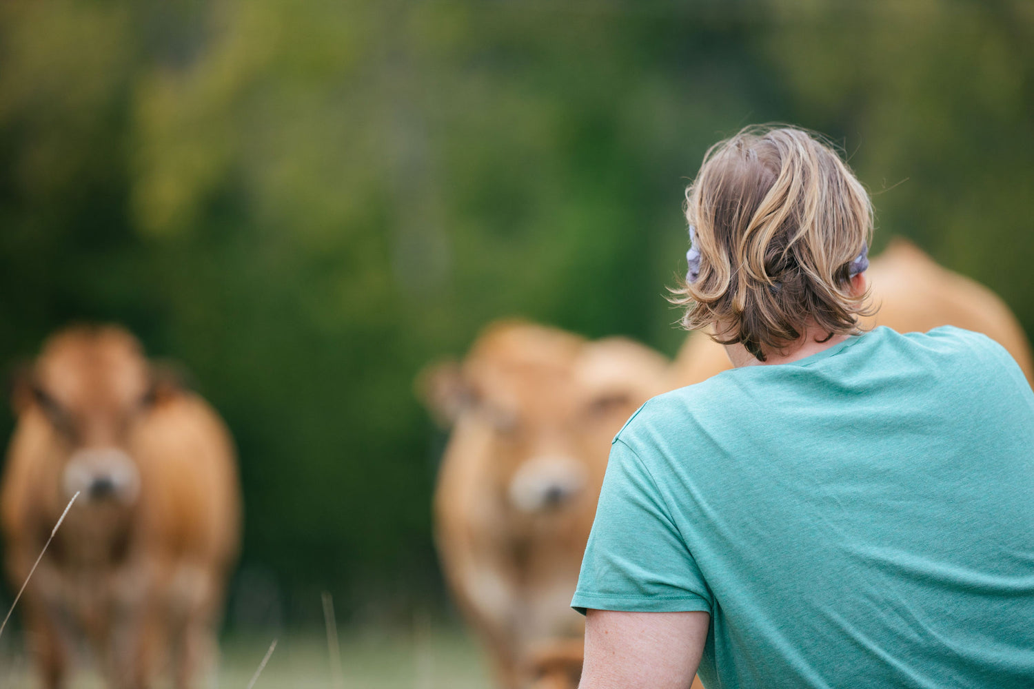 Producteurs de Saveurs Pont de Beauvoisin magasin bio